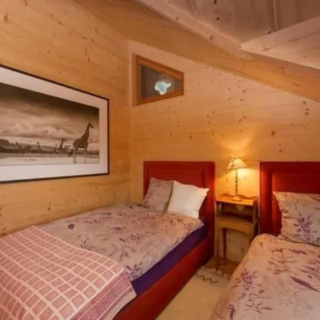Chalet Francois - Les Girafes Apartment Champéry